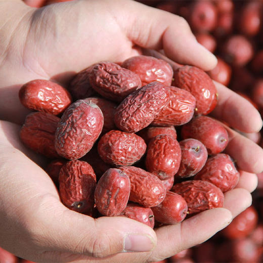 25年新枣，新疆树上风干灰枣 买五斤送一斤，品味自然甘甜