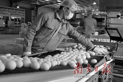 农产品流通恢复常态化 市场供需趋于平衡 价格稳中有跌