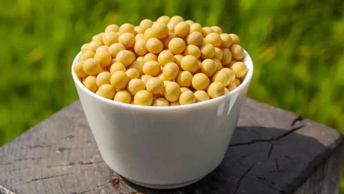 风靡潮汕的普宁豆干，背后竟有这么多你不知道的讲究