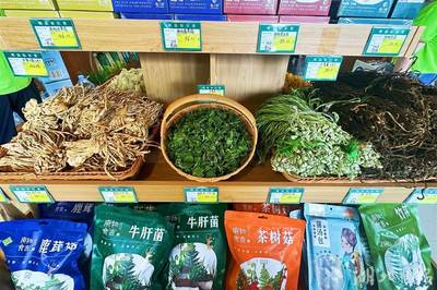 南湖新景 黄四姐恩施土特产专卖店，遥望东湖姊妹店